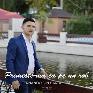 Doar Acum Ca Timpul by Fernando din Barbulesti