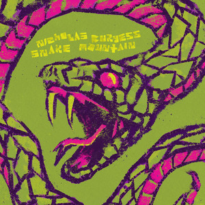 Snake Mountain by Nicholas Burgess