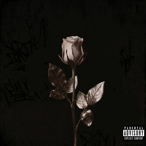 MILLION DOLLAR ROSES by Thyra Marshall, MDD X