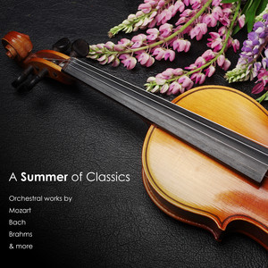Concerto Grosso in B-Flat Major, Op. 6, No. 7, HWV 325: I. Largo