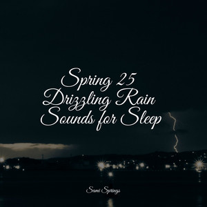 Spring 25 Drizzling Rain Sounds for Sleep album