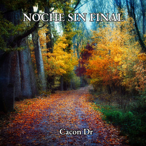NOCHE SIN FINAL by Cacon Dr