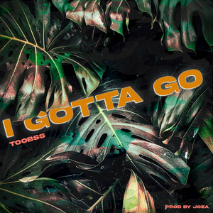 I Gotta Go by Toobss