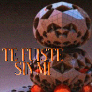 Te fuiste sin mi by Nutrino Goloza