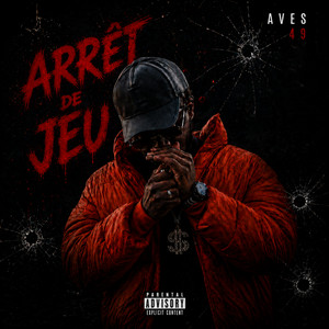 Arrêt de jeu by Aves 49