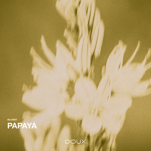 Papaya by Belmont