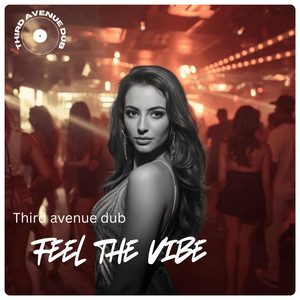 Feel the vibe by Third avenue dub