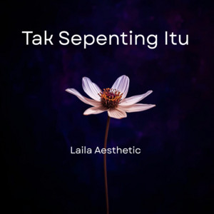 Tak Sepenting Itu by Laila Aesthetic