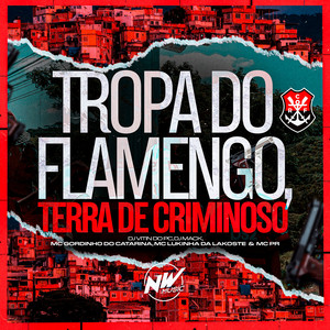 Tropa do Flamengo, Terra de Criminoso