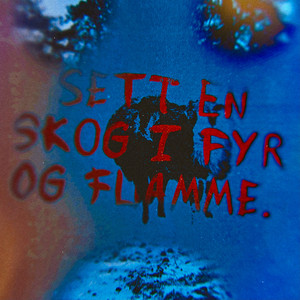 sett en skog i fyr og flamme.