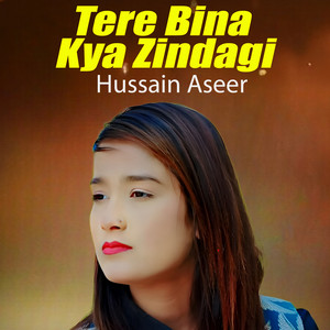 Hussain Aseer - Tere Bina Kya Zindagi