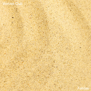 Felidae by Wolves Club