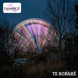 Te Robaré by FacundoCP