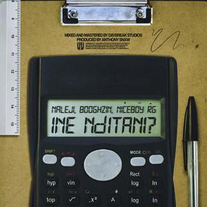 Ine Nditani? by Naleji, BOOGHIZIN, NICEBOY RG