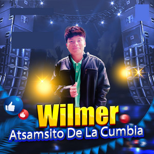 Wilmer Atsamsito De La Cumbia - Falsas promesas