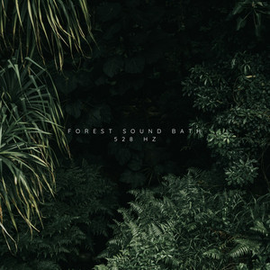 Forest Sound Bath 528 Hz