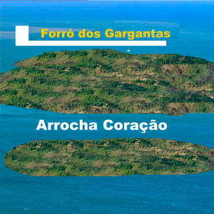brinco de ouro by Forró dos Gargantas