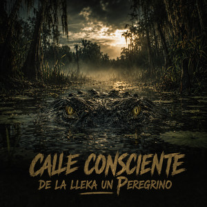 De La Lleka Un Peregrino by Calle Consciente