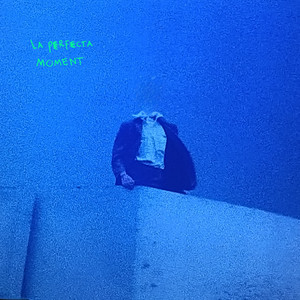 La Perfecta Moment - Sonido Viudo