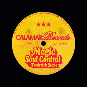 Magic Soul Control by Frederick Stone