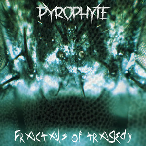 Fractals of Tragedy by Pyrophyte