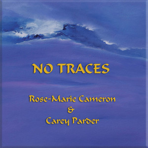 No Traces