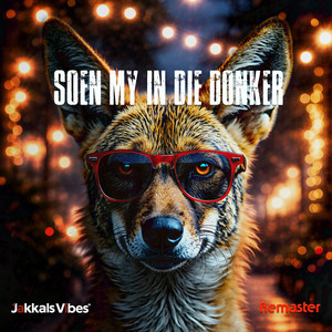 Soen my in die donker - Remaster by Jakkals Vibes