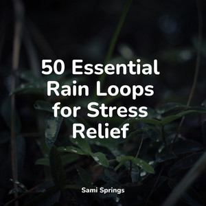 50 Essential Rain Loops for Stress Relief album