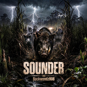 Sounder by Backwoodz808