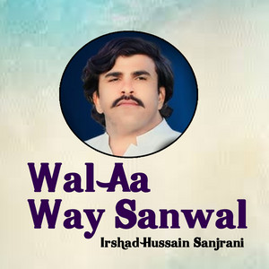 Irshad Hussain Sanjrani - Medy Paar Dy Wasdy