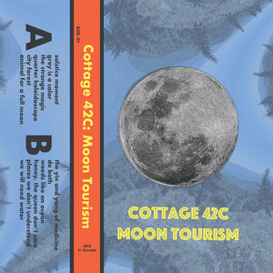 City Forest by Cottage 42c