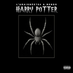 Harry Potter by L'Araignée 784, Bendo