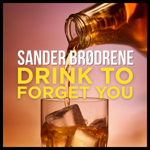 Drink To Forget You by Sander Brødrene