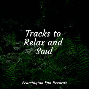 Tracks to Relax and Soul album