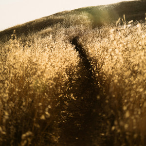 Journey by Artur Deken