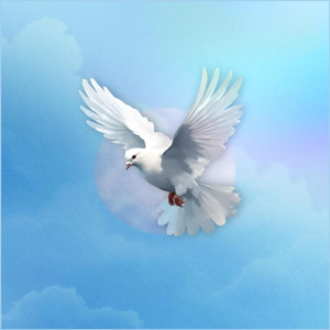 Raymond Young - Blessing of Joy