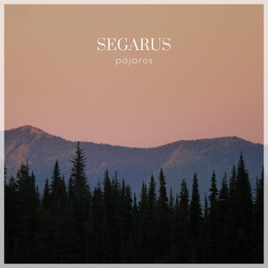 Pájaros by Segarus