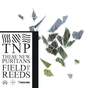 Field of Reeds cover