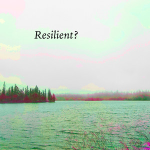 Resilient? by Robert Anton Strobel
