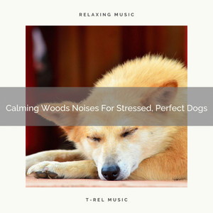 Calming Woods Noises For Stressed, Perfect Dogs album