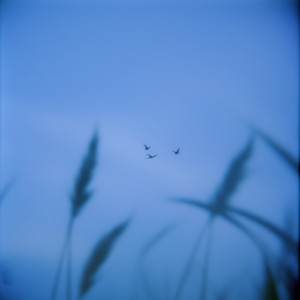 Evernorth by ENRA