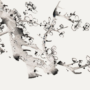 冬枯 by Tsubaki