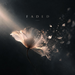 Faded: Reloaded by Marian Klose