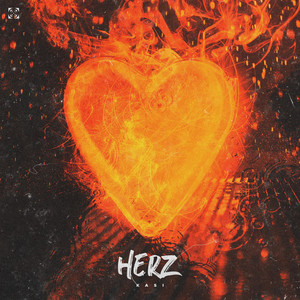 Portada de Herz