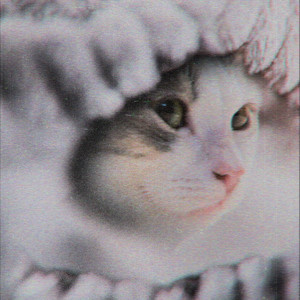 Sweater Weather (Hoodtrap / Mylancore) by Kryd