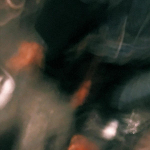 Intro