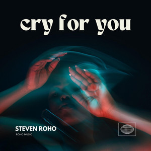 Cry for you - Extended by Steven Roho
