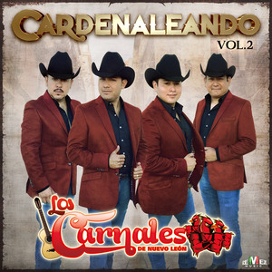 Cardenaleando Vol. 2 cover