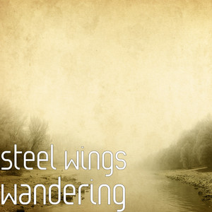 Lost in the Woods by Steel Wings Album Cover
