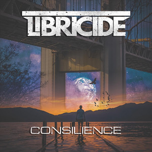 Last Time by Libricide